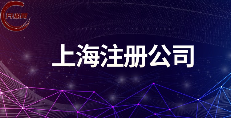 开公司的全面指南：从理念到现实